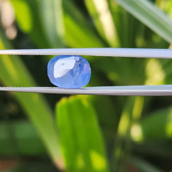 Blue Sapphire Gemstone from Burma (Maynmar)- 5.37 Carats