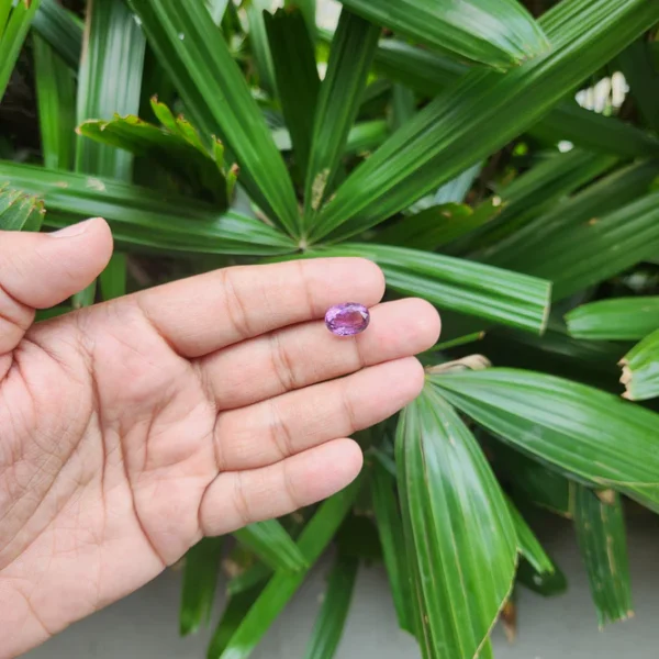 Certified Amethyst Gemstone from Brazil - 5.62 Carats