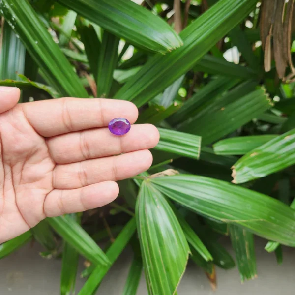 Certified Amethyst Gemstone from Brazil - 6.68 carats